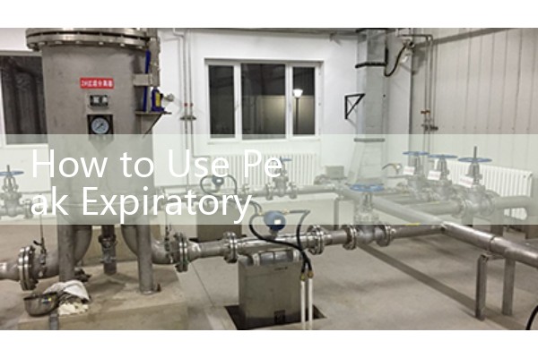 How to Use Peak Expiratory Flow Meter: Correct Patient Technique Tips